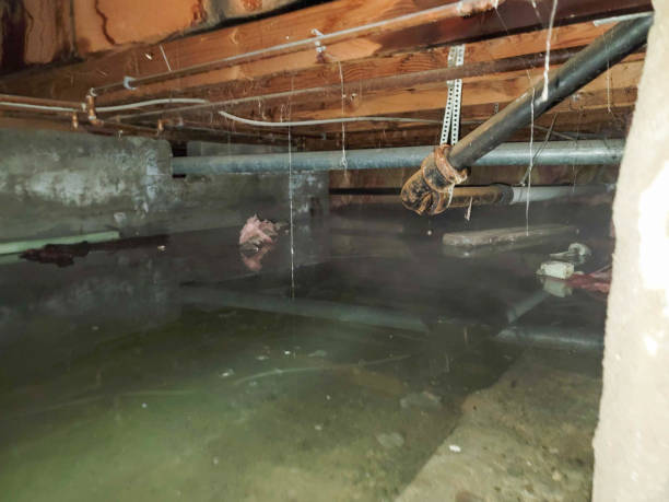 Best Commercial water damage restoration  in Mendenhall, MS