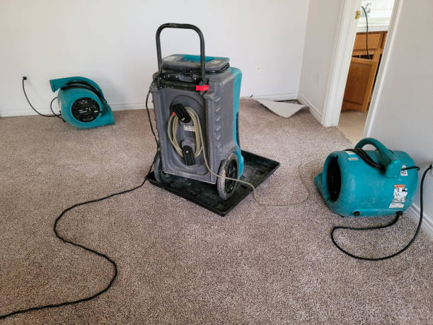 Best Sewage cleanup and water damage restoration  in Mendenhall, MS