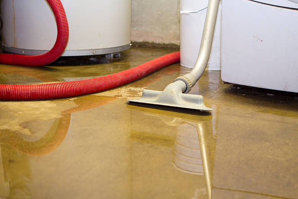 Best Ceiling water damage repair  in Mendenhall, MS