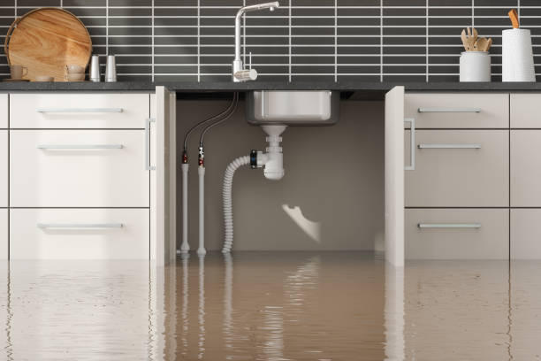 Best Local water damage restoration  in Mendenhall, MS